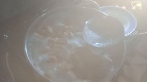 ГРИБЫ ВОЛНУШКА МАРИНОВАННЫЕ ГОРЯЧИМ СПОСОБОМ #грибы #простойрецепт