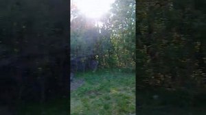 санаторий #Уссури, за один день не пересказать, #Бычиха