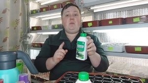 Посев петунии! 100% всхожесть и как сократить расходы!