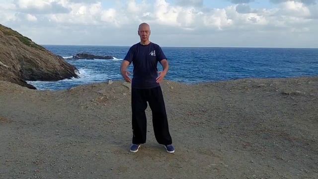 Тайцзицюань, форма Лао Цзя, стиль Чень. Кусок формы