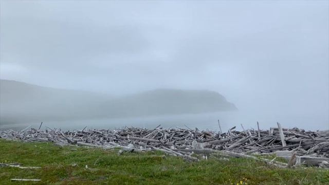 Проверено на себе: Шантарские острова
