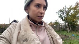 Моя заброшенная дача. Привезли навоз. Перекапываю грядку. Мой урожай. Дачные будни . #дача