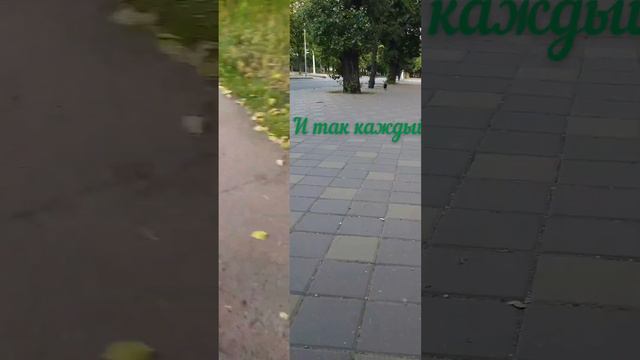 Вот так я бегу навстречу к тем, кто меня любит