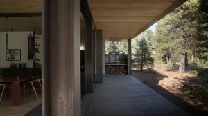An Architects Own Home Designed as a Tree House That Disappears Into the Landscape (House Tour)