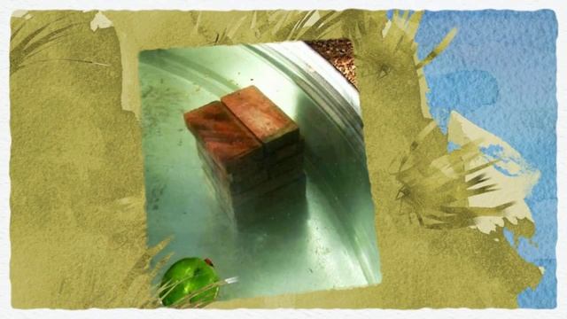 Мини пруд своими руками. Из чего можно сделать? смотреть онлайн