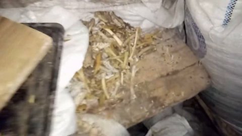 Самая вкусная мясо костная мука своими руками (технический способ)