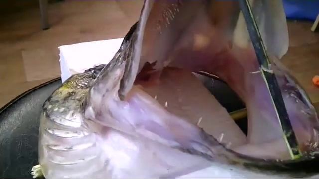 Чучело из головы Щуки смотреть онлайн