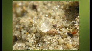 Мир пластилиновых солдатиков.  Денежная система. #10