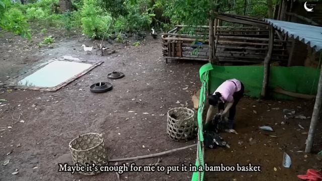 60 days busy harvesting spring crop - Go to the market to sell | Wild Forest Life смотреть онлайн