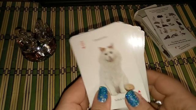 ОБЗОР игральных карт все кошки РоссииОБЗОР игральных карт все кошки России смотреть онлайн