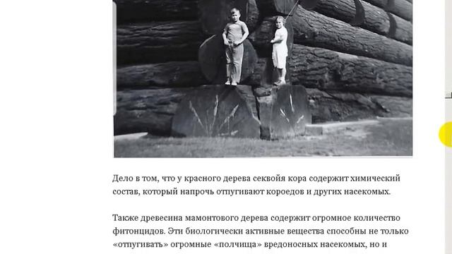 Закрытые страницы истории. смотреть онлайн