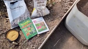 Теплица осенью: чем помыть, как подготовить грядки и как сделать защиту от болезней и вредителей