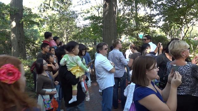 У вольера с жирафами в Нью-Йоркском зоопарке ZOO Bronx смотреть онлайн