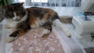 Коврик для швейной машинки.