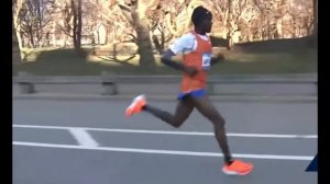 Joshua Cheptegei VS. Jacob Kiplimo || 2023 New York City Half Marathon