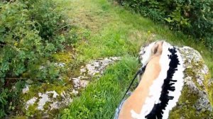 GOPRO - HOBBYHORSE RIDING