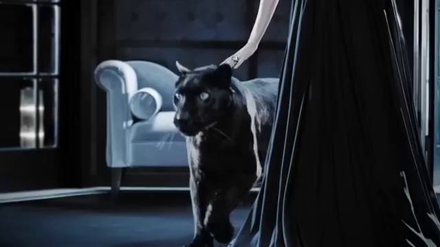 Max Factor Excess Volume Extreme Impact blakstienų tušas смотреть онлайн