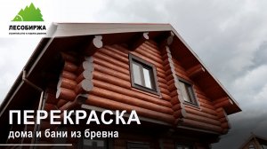 Покраска дома и бани из бревна!