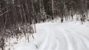 Зимний офф-роад тестдрайв Нива Шевроле/ Niva Chevrolet off-road testdrive