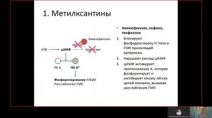 Фарма ВСЕ 12.3. Диуретики.mp4