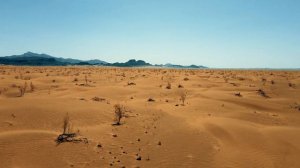 фон пустыня