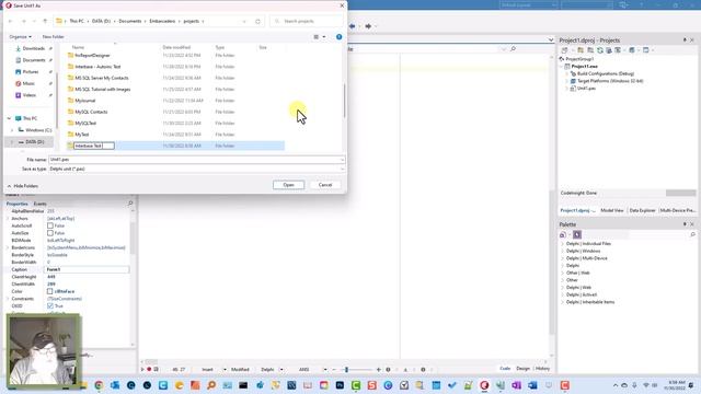 FireDAC in Delphi: First Look смотреть онлайн