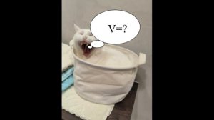 Цилиндрический кот_ объем цилиндра