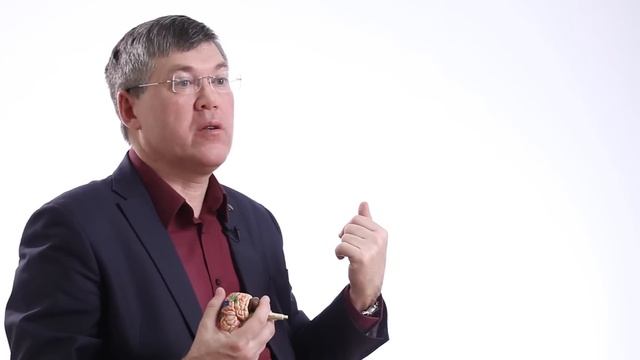 Мозговые центры обучения и памяти — Вячеслав Дубынин