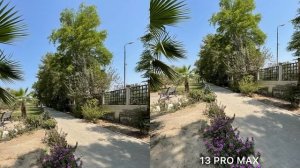 Sony Xperia Pro I vs iPhone 13 Pro Max Camera Test