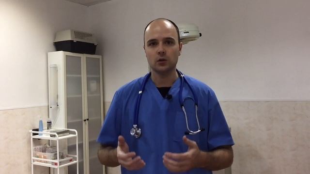 Рана у кошки или собаки. Чем обработать, как лечить самостоятельно смотреть онлайн