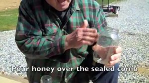 Дон о сотовом меде