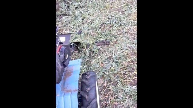 Мотоблок Нева МБ-2 и сегментная косилка смотреть онлайн