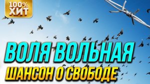 ВОЛЯ ВОЛЬНАЯ  ПЕСНИ О СВОБОДЕ  ЛУЧШИЕ ПЕСНИ ШАНСОНА И БЛАТНЫЕ ХИТЫ (Сборник 2020) | Русский шансон