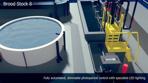 Графика проекта УЗВ рыбной фермы