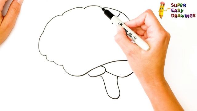 How To Draw The Human Brain Step By Step ? Brain Drawing Easy смотреть онлайн