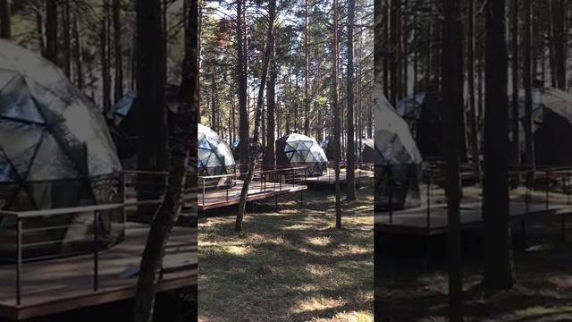 Купольные дома