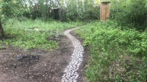 Дачные будни. Белка строит гнездо на нашем участке