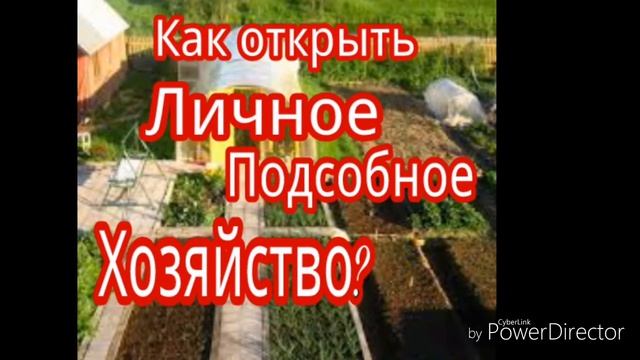 ЛПХ (Личное подсобное хозяйство). Регистрация, налоги и другие важные детали.