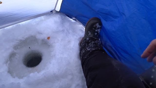 Белоярское водохранилище, рыбалка 04.03.23 Спасалка