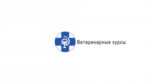 Летальные вирусные инфекции кошачий