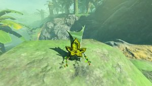 Источник Храбрости. The Legend of Zelda:Breath of the Wild #169.