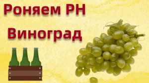 Как роняет РН ПИВА  виноградный сок!?