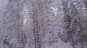 проходимость Нивы на летней резине по зимнему снегу