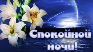 Спокойной ночи!