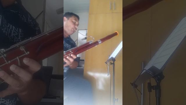 Fagote CCB Hinário 2 - 89 - Oh! Terra querida смотреть онлайн