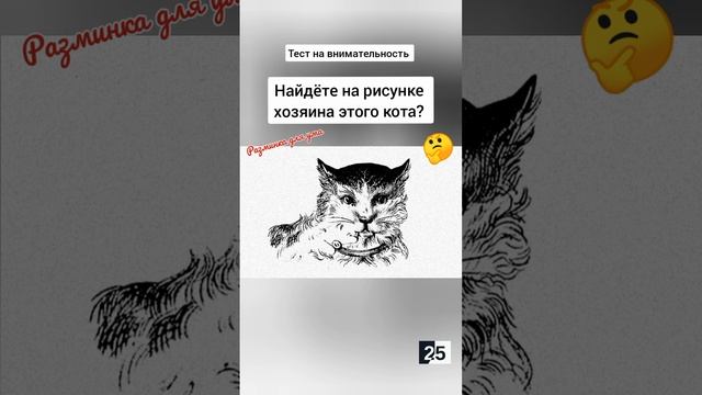 головоломка с ответом, найдёте на рисунке лицо хозяина кота? смотреть онлайн