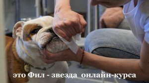Съёмка видео-курса по дрессировке собак  .mp4