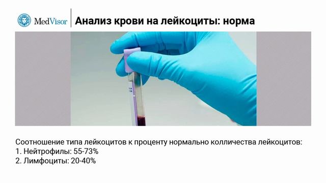 Белые кровяные тельца в анализах крови: расшифровка, норма