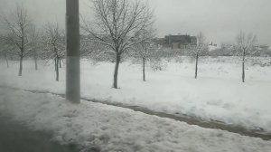 Краснодар - на маршрутке - по Дзержинского до ТРЦ "Красная площадь" - 22 января 2024 г.