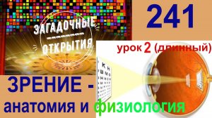 Зрение и ГЛАЗ человека - анатомия и физиология (урок 2). З/О_241.